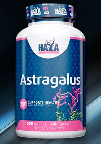 haya-astragalus-new