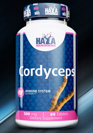 haya-cordyceps