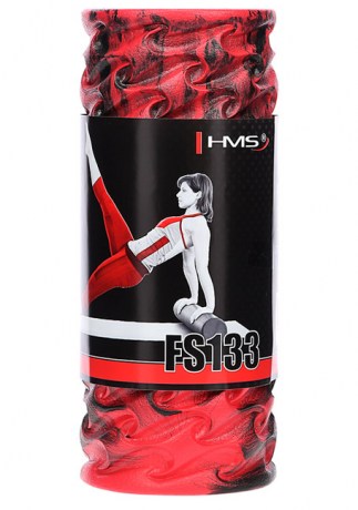 hms-fs133