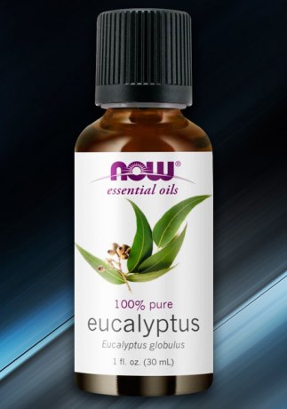now-eucalyptus-oil